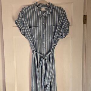 Blue Striped 100% Tencel Knee-Length Shirt Dress